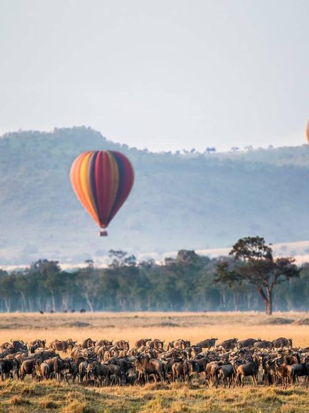 Hot-air-balloons-over-Masai-Mara-NP