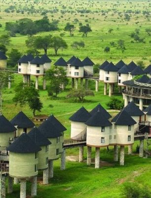 Salt Lick Safari Lodge